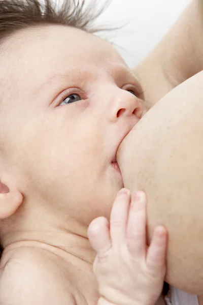 stock image Mother Breastfeeding Baby